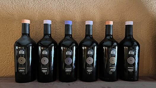Italiaanse-wijn-Sardinie